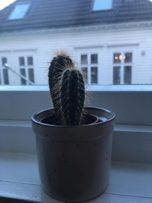 Ym40 Appartamento Bergen Esterno foto
